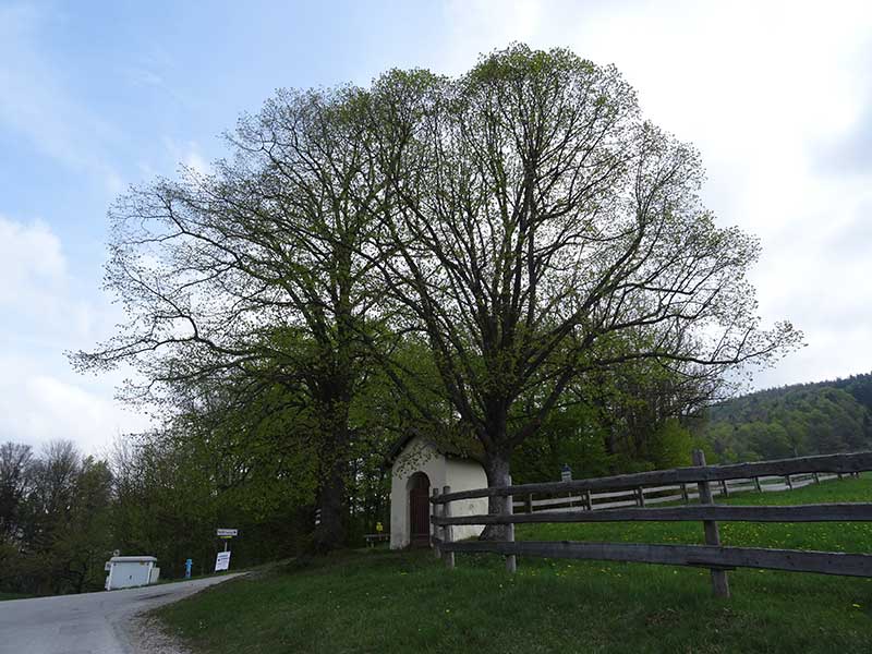 Steinwandklamm